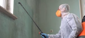 A mold removal technician in a body suit and mask uses a sprayer to treat mold on a wall.