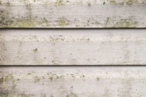 Dirty vinyl siding that needs pressure washing