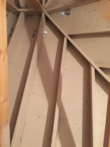 Attic sheathing and rafters in a Village of Lakewood, IL home after mold removal services. 