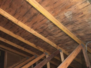 Wood attic boards that are covered in mold.