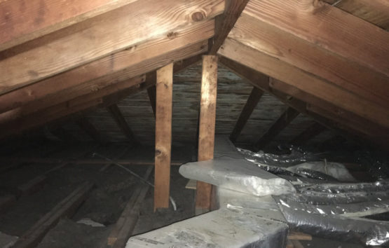 roof rafters and beams in Highland Park, IL before an attic mold remediation
