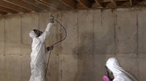 Two professionals treating mold