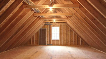 Attic Mold Removal Services