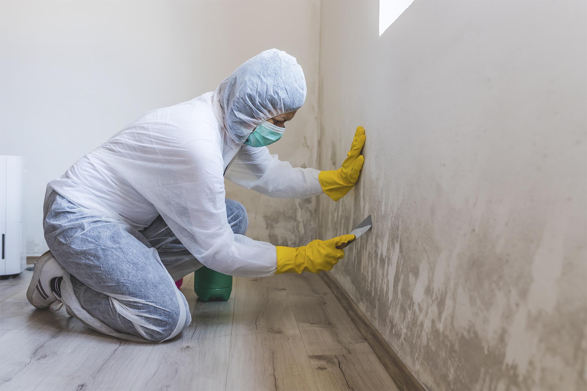 Mold Remediation Highland Park IL | Alliance Restoration
