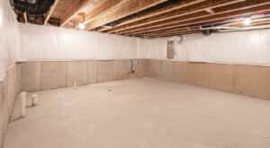 Basement Mold Removal Geneva IL