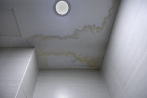 A close up image of the ceiling in a tile shower with a large water and mold stain.