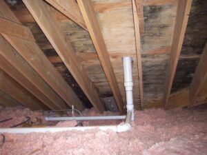 Attic Mold Removal Buffalo Grove IL